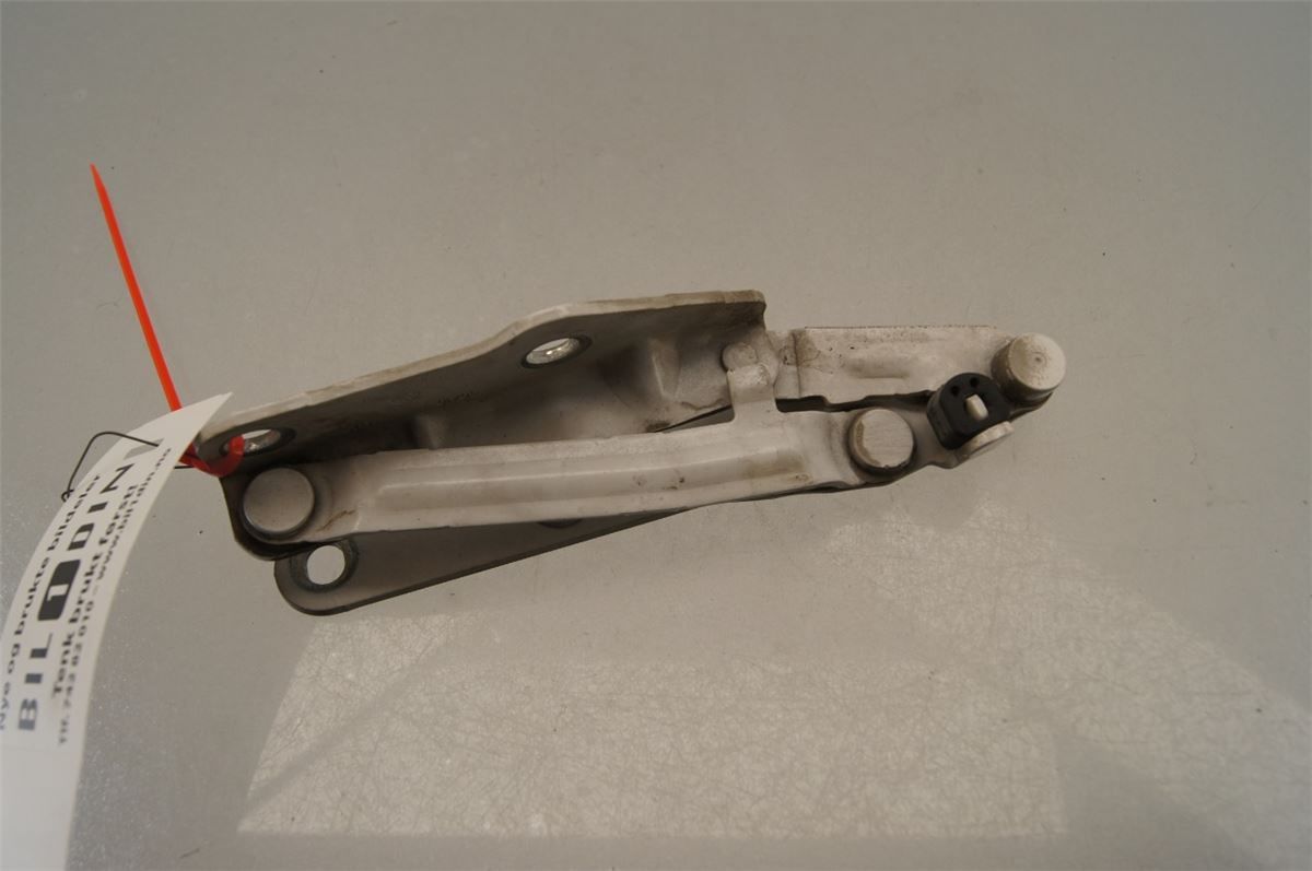 Panser Hengsel / Hengsler – bilde 1