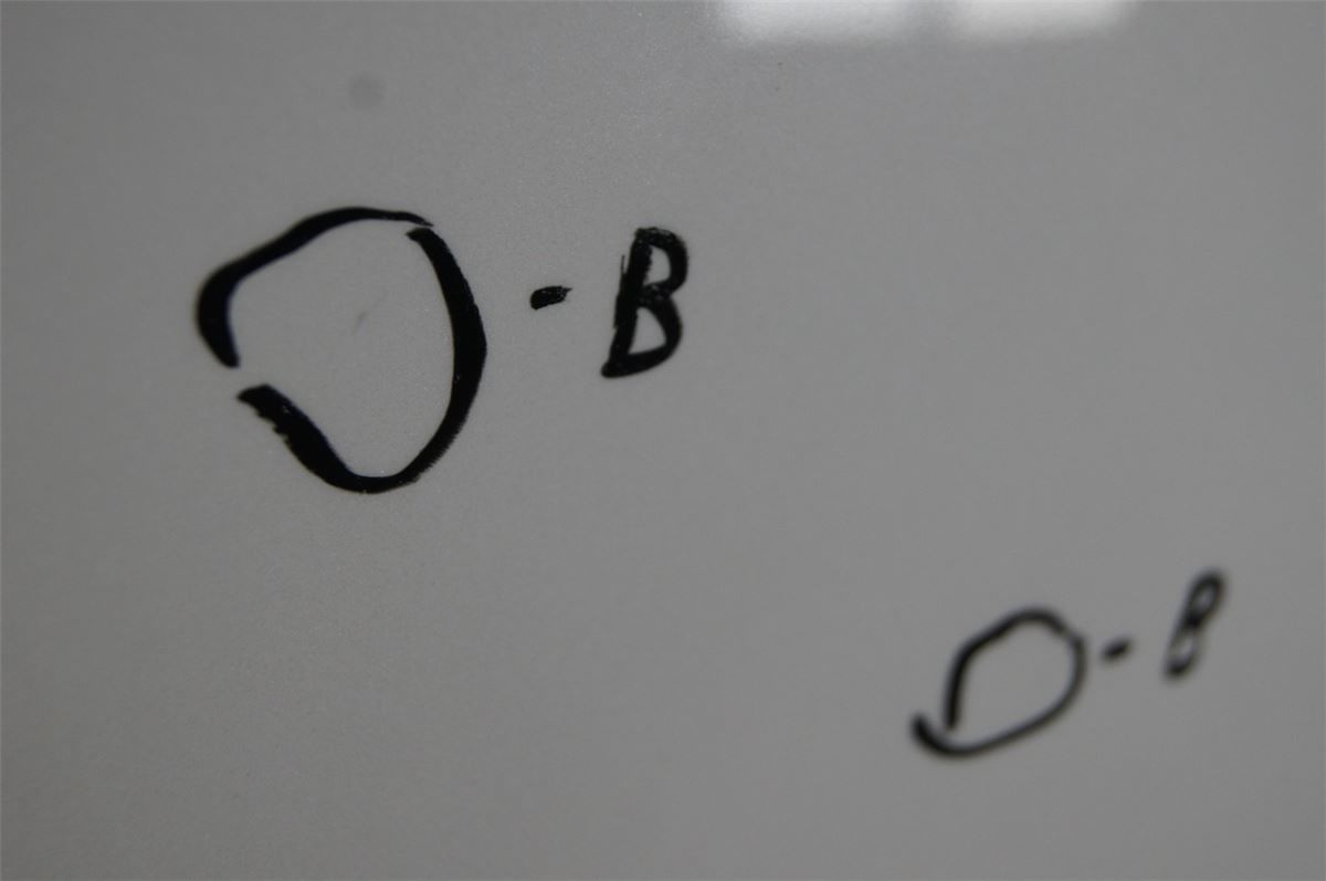 Panser – bilde 2