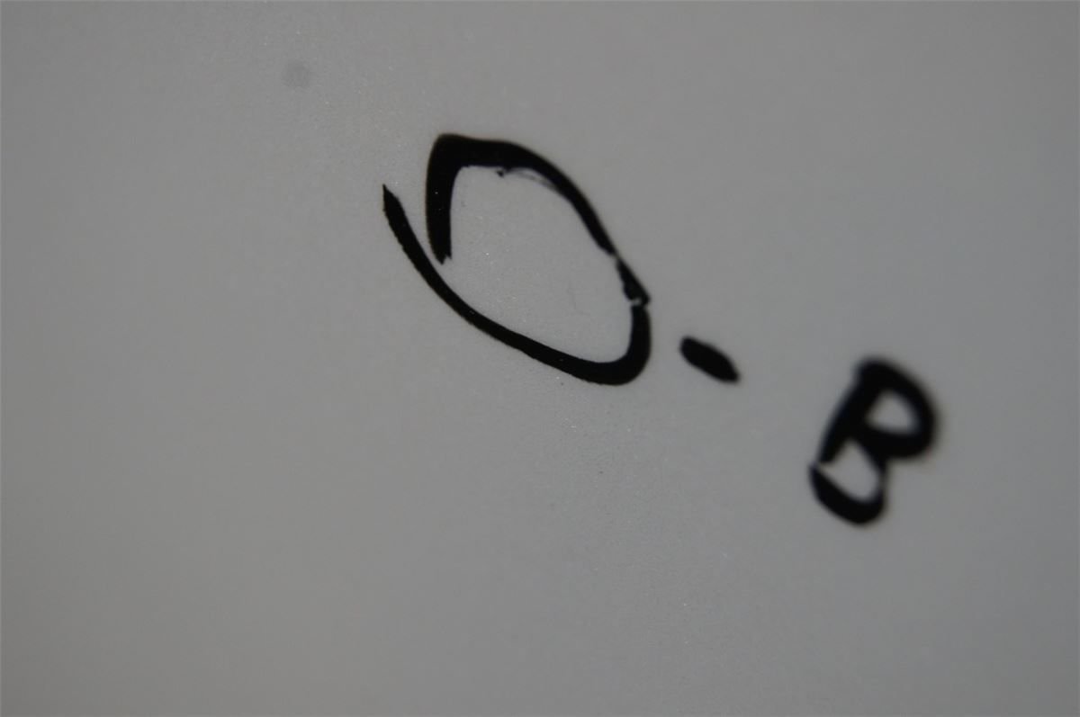 Panser – bilde 3