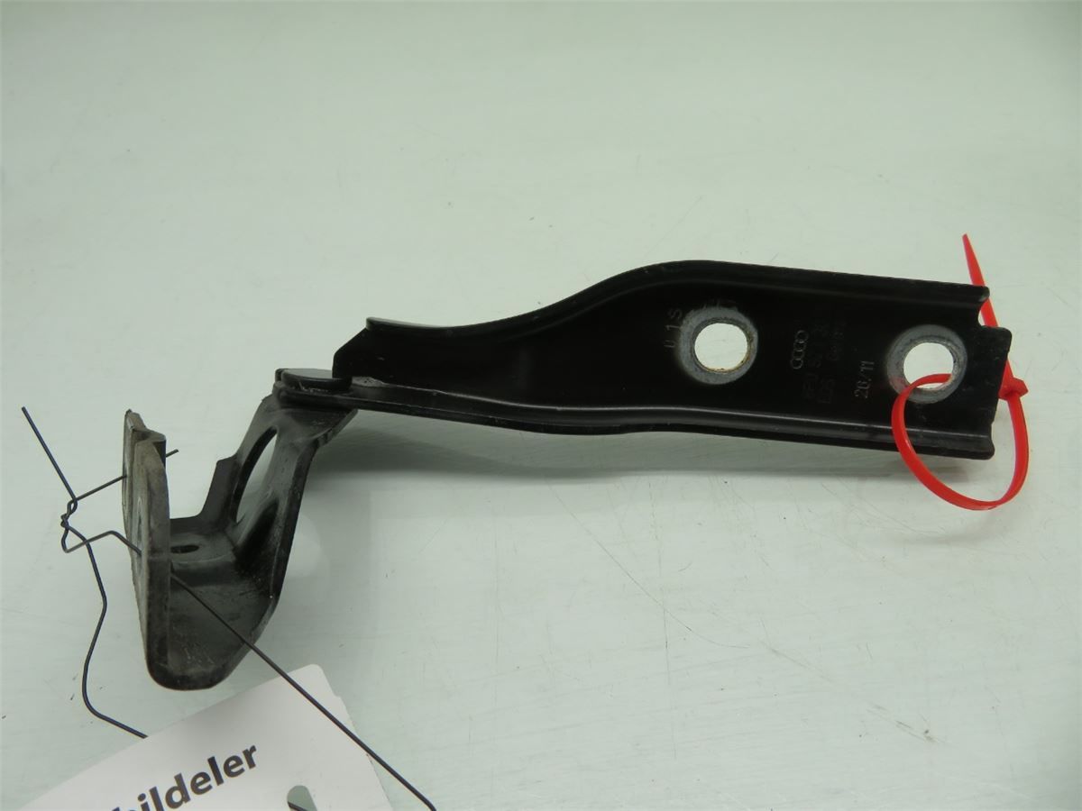 Panser Hengsel / Hengsler – bilde 1