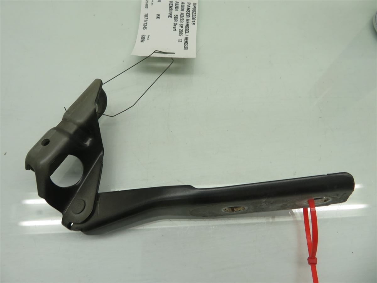 Panser Hengsel / Hengsler – bilde 2