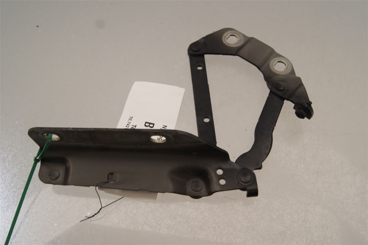 Panser Hengsel / Hengsler – bilde 2