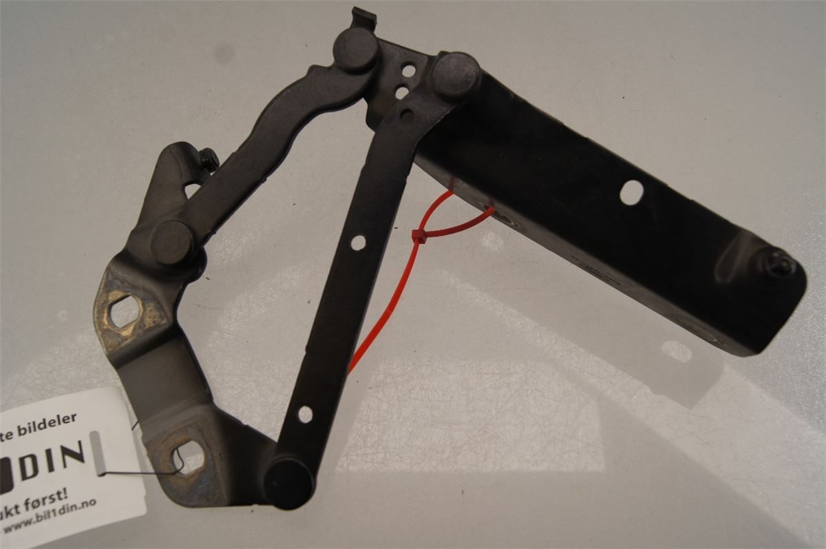Panser Hengsel / Hengsler – bilde 1