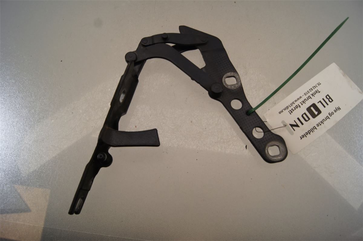 Panser Hengsel / Hengsler – bilde 2