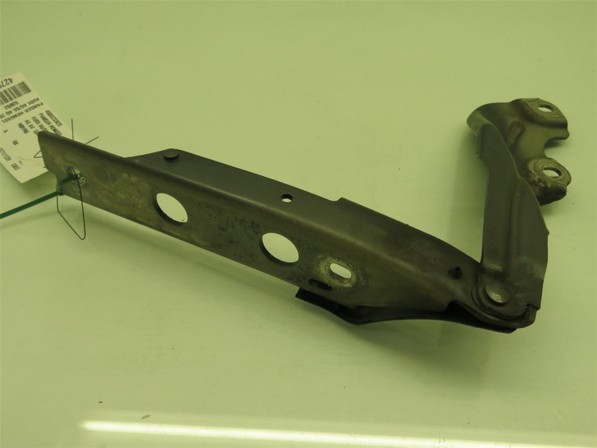Panser Hengsel / Hengsler – bilde 2
