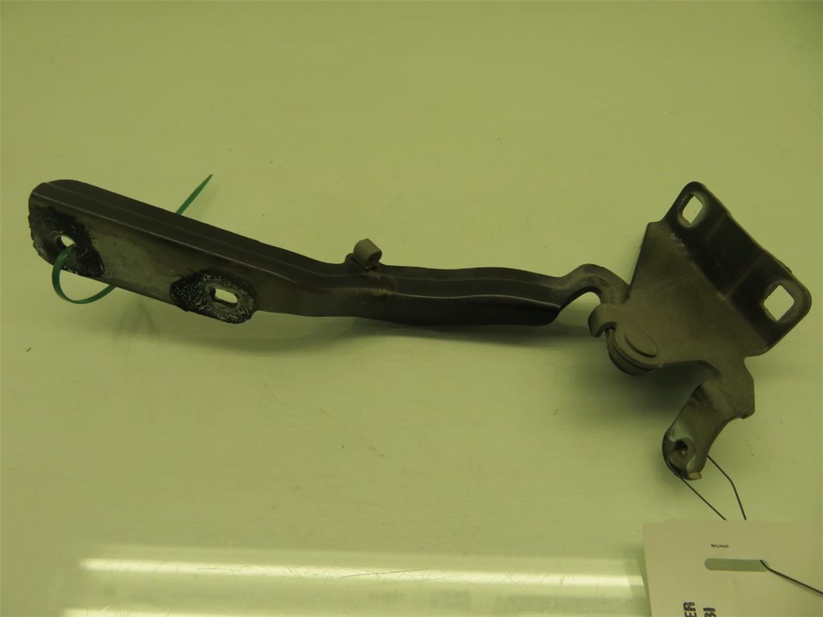 Panser Hengsel / Hengsler – bilde 2