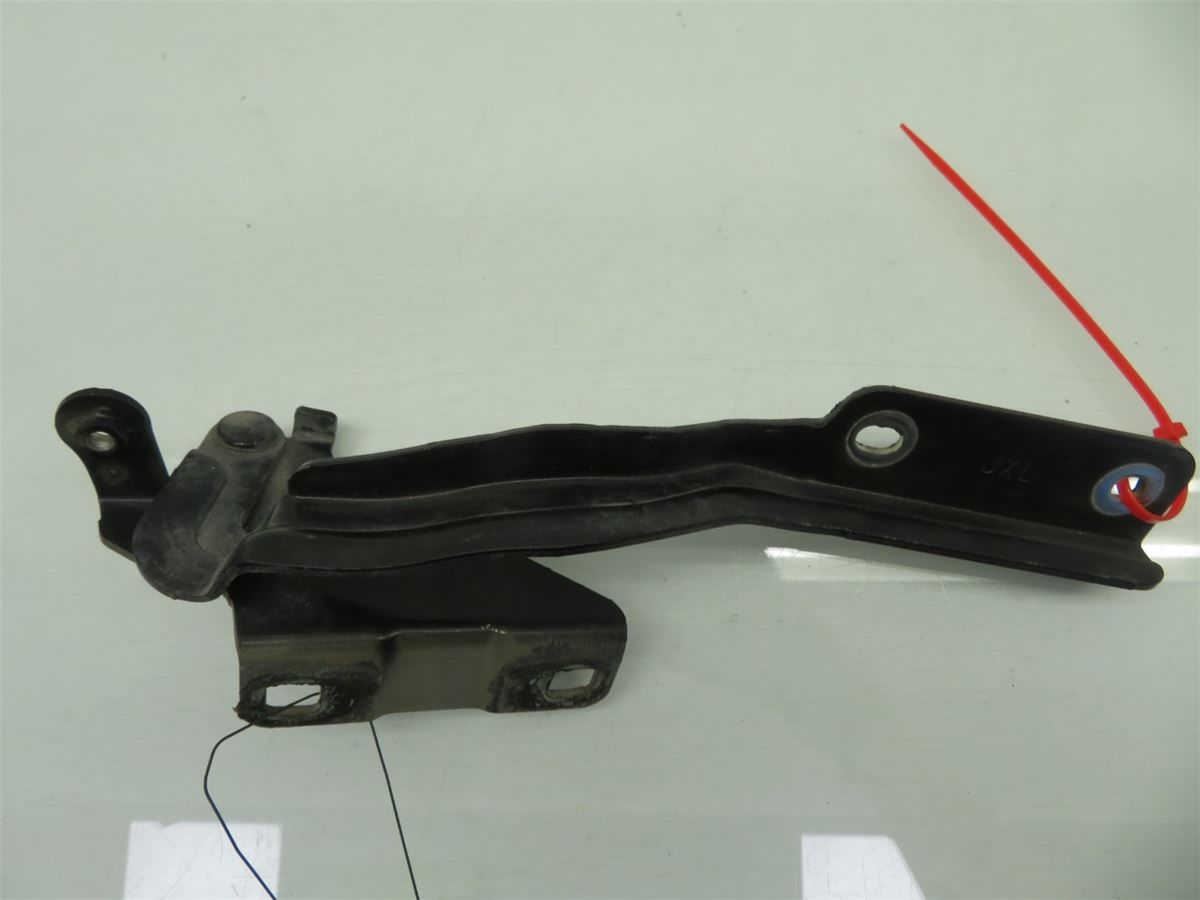 Panser Hengsel / Hengsler – bilde 1