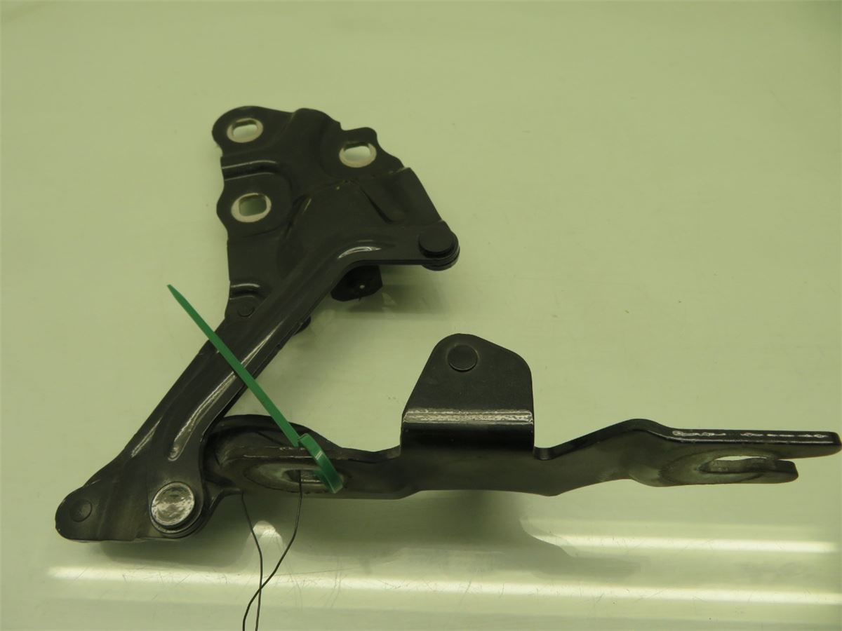 Panser Hengsel / Hengsler – bilde 1
