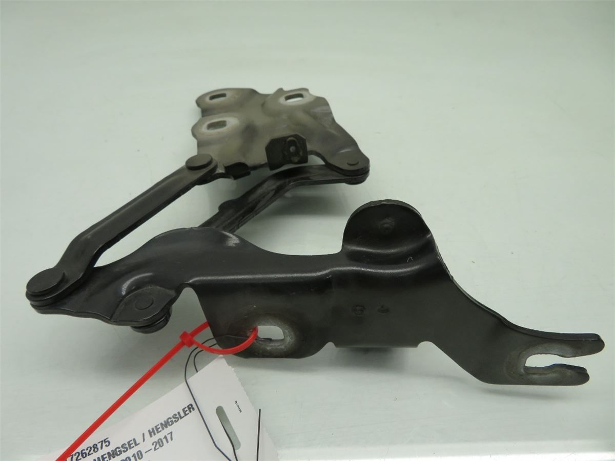 Panser Hengsel / Hengsler – bilde 3