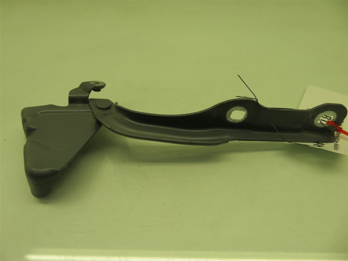Panser Hengsel / Hengsler – bilde 4