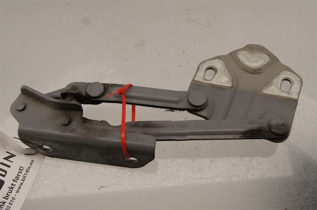 Panser Hengsel / Hengsler – bilde 1