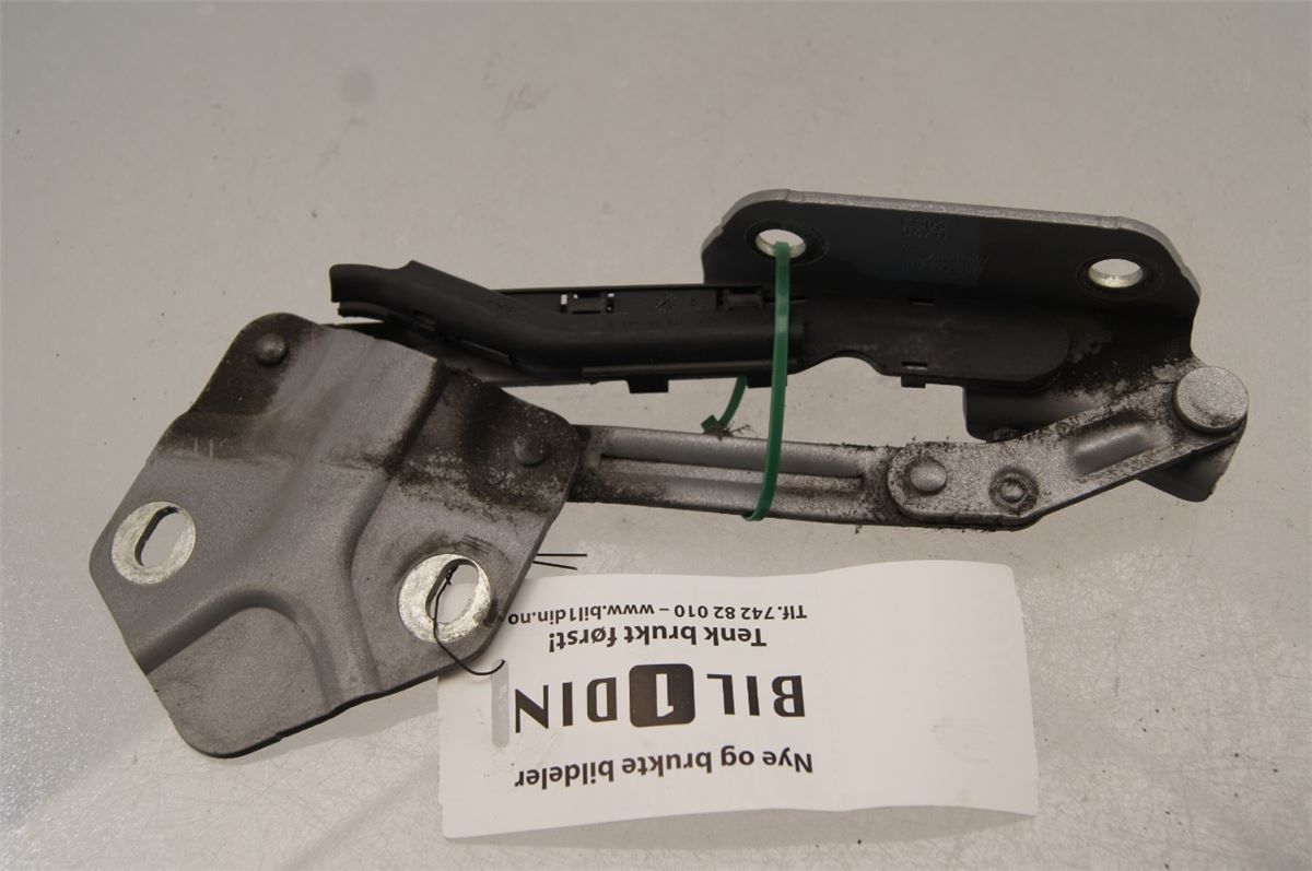 Panser Hengsel / Hengsler – bilde 1