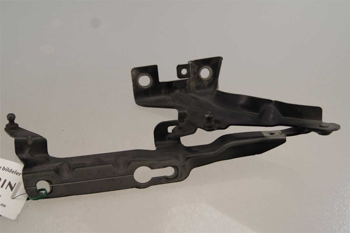 Panser Hengsel / Hengsler – bilde 2