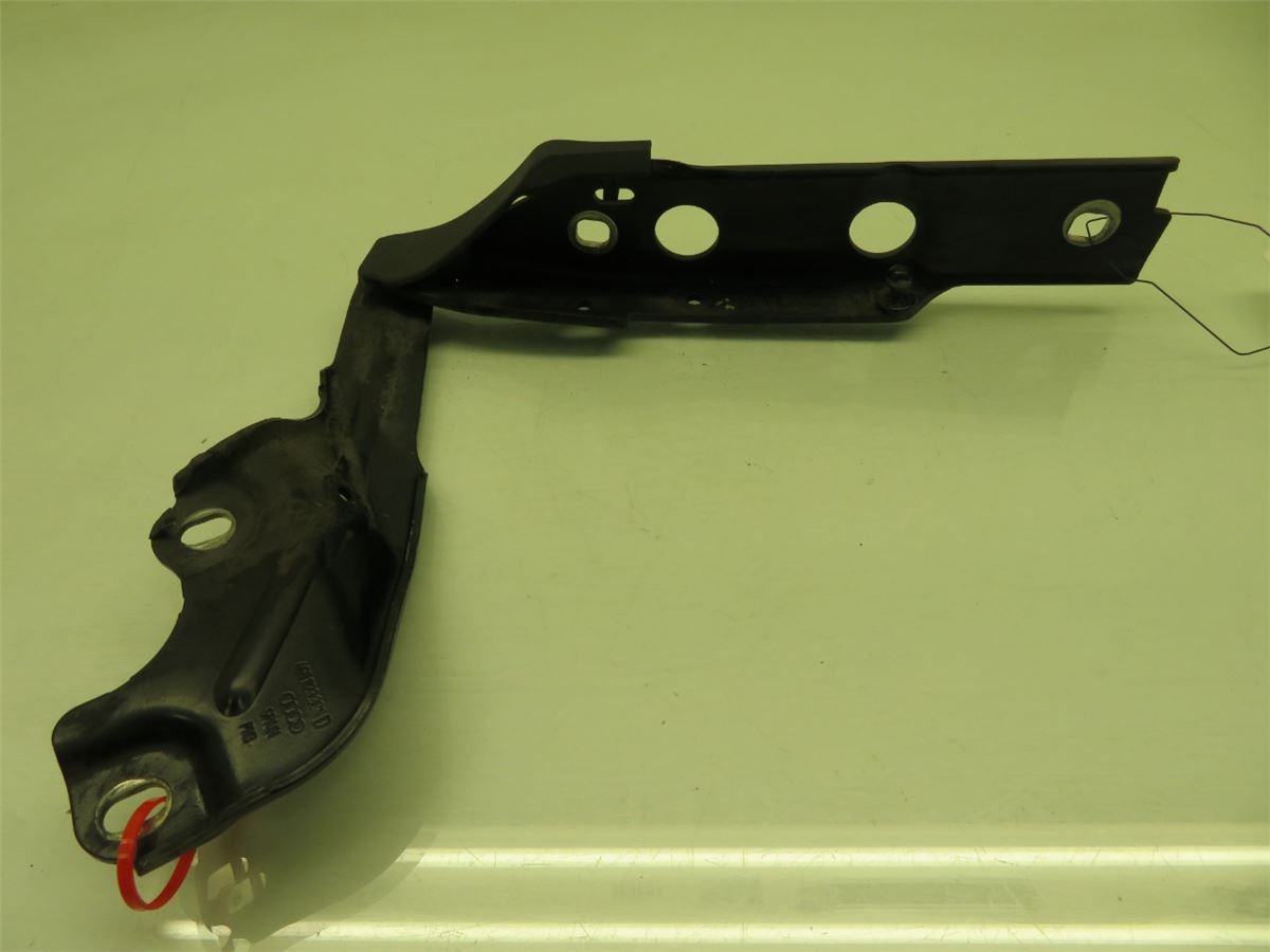 Panser Hengsel / Hengsler – bilde 1