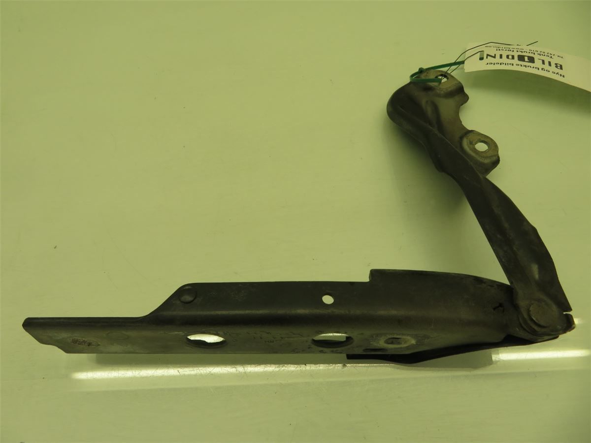 Panser Hengsel / Hengsler – bilde 1
