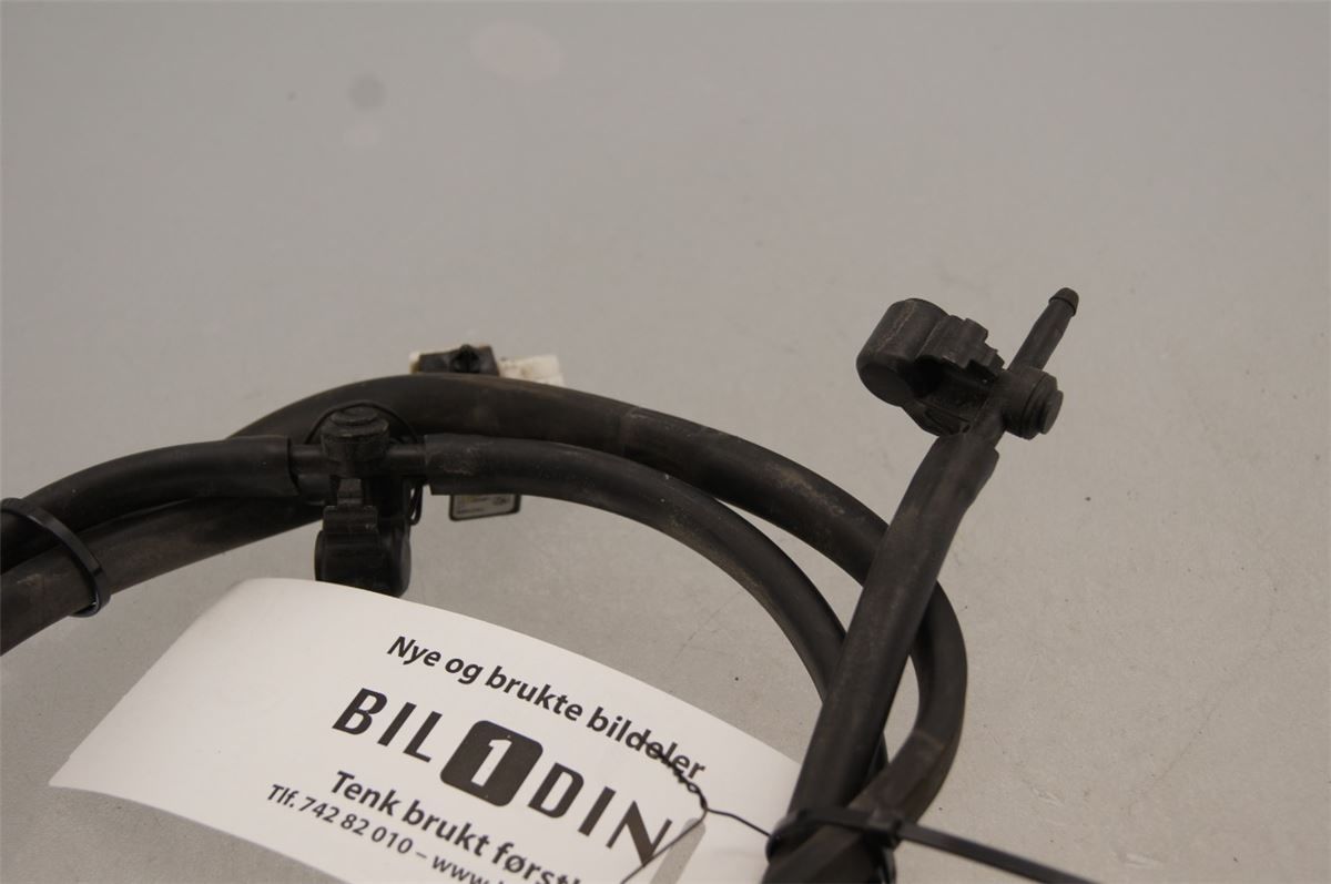 Spylerdyse Ruter – bilde 2