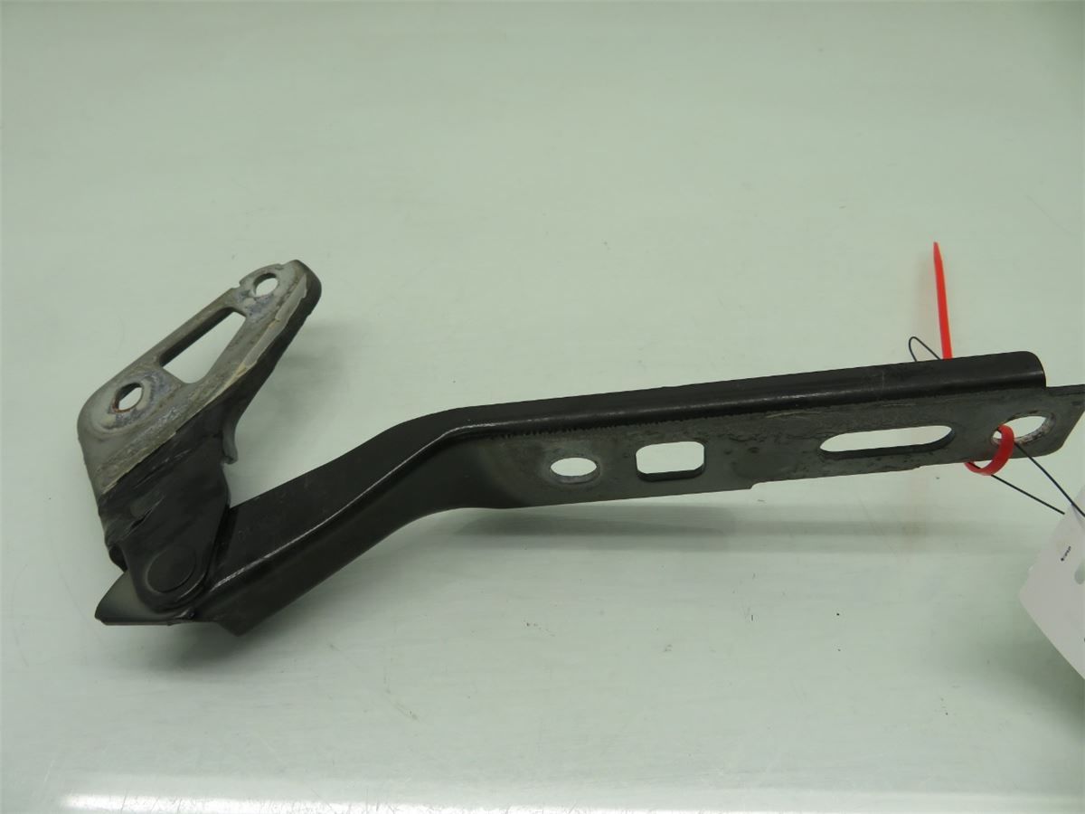 Panser Hengsel / Hengsler – bilde 2