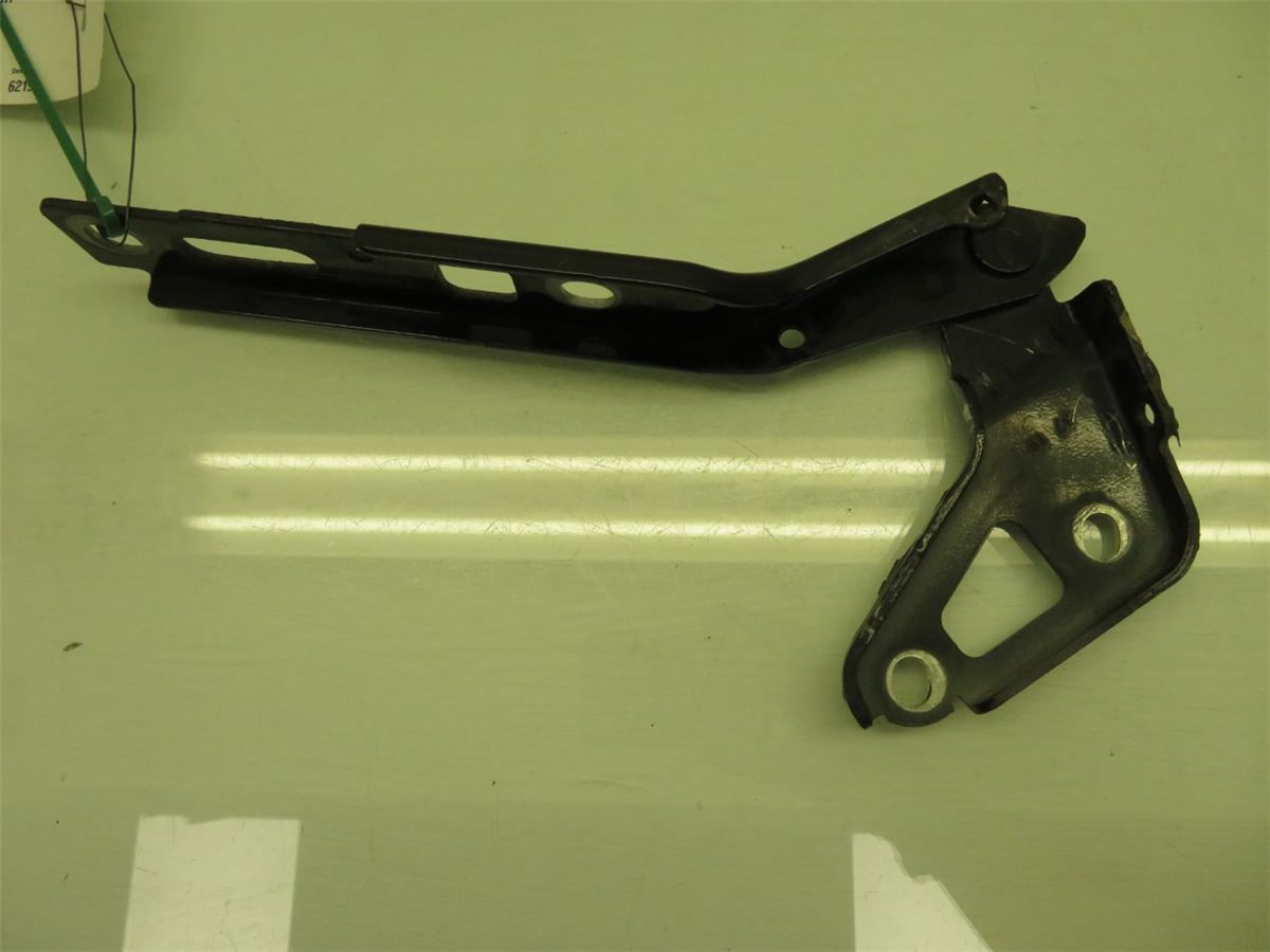 Panser Hengsel / Hengsler – bilde 2