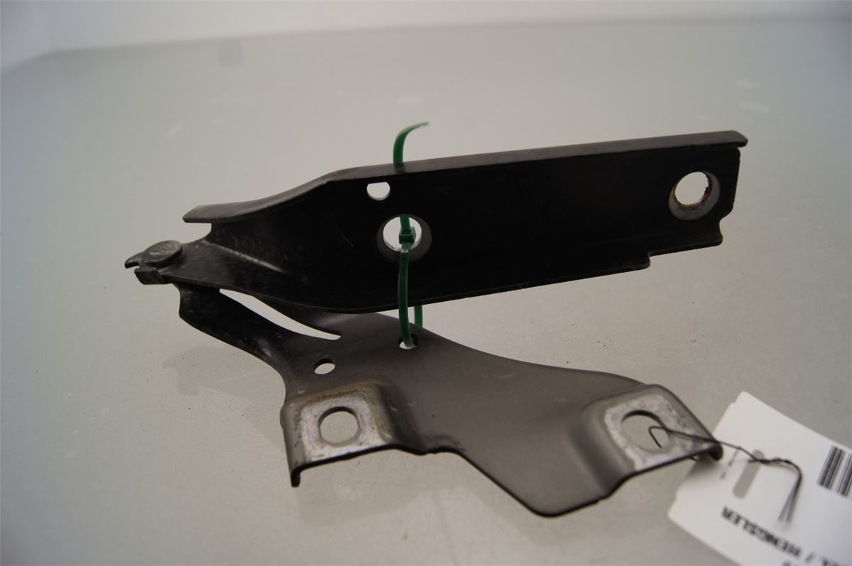 Panser Hengsel / Hengsler – bilde 1