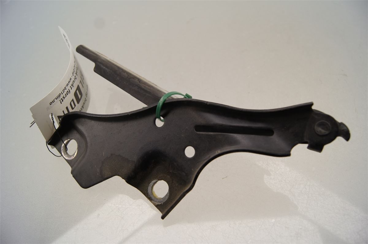 Panser Hengsel / Hengsler – bilde 3