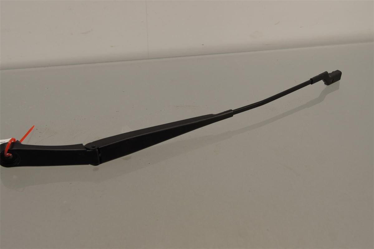 Viskerarm / Armer Frontrute – bilde 1