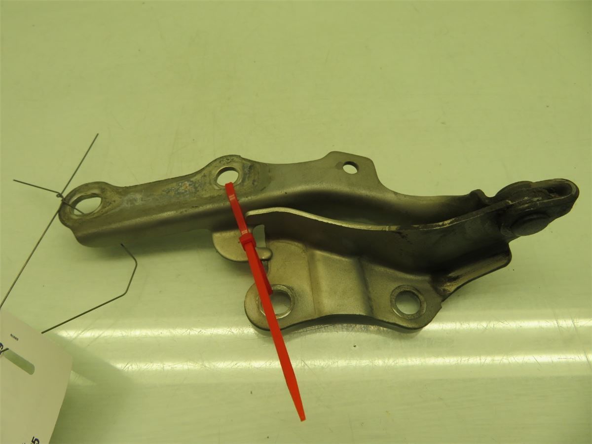 Panser Hengsel / Hengsler – bilde 1