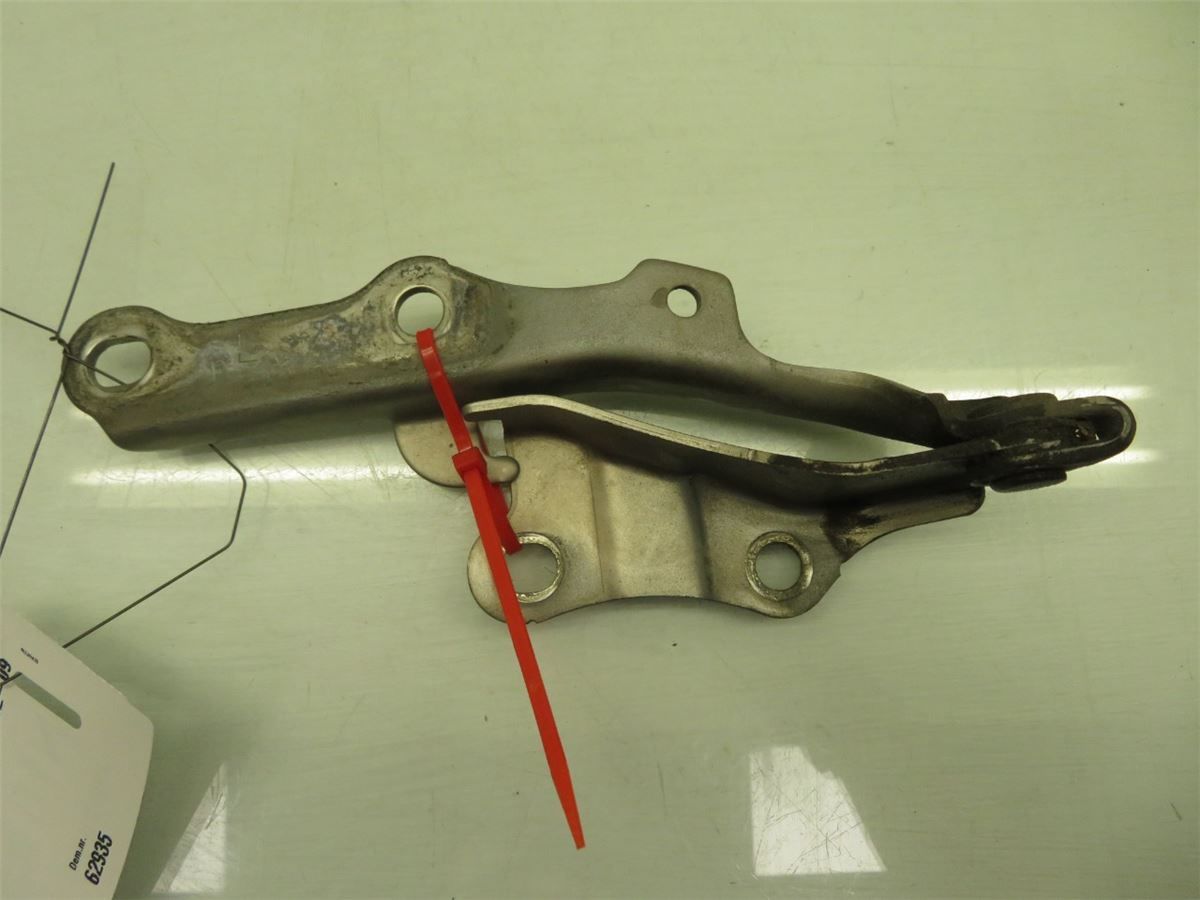 Panser Hengsel / Hengsler – bilde 2