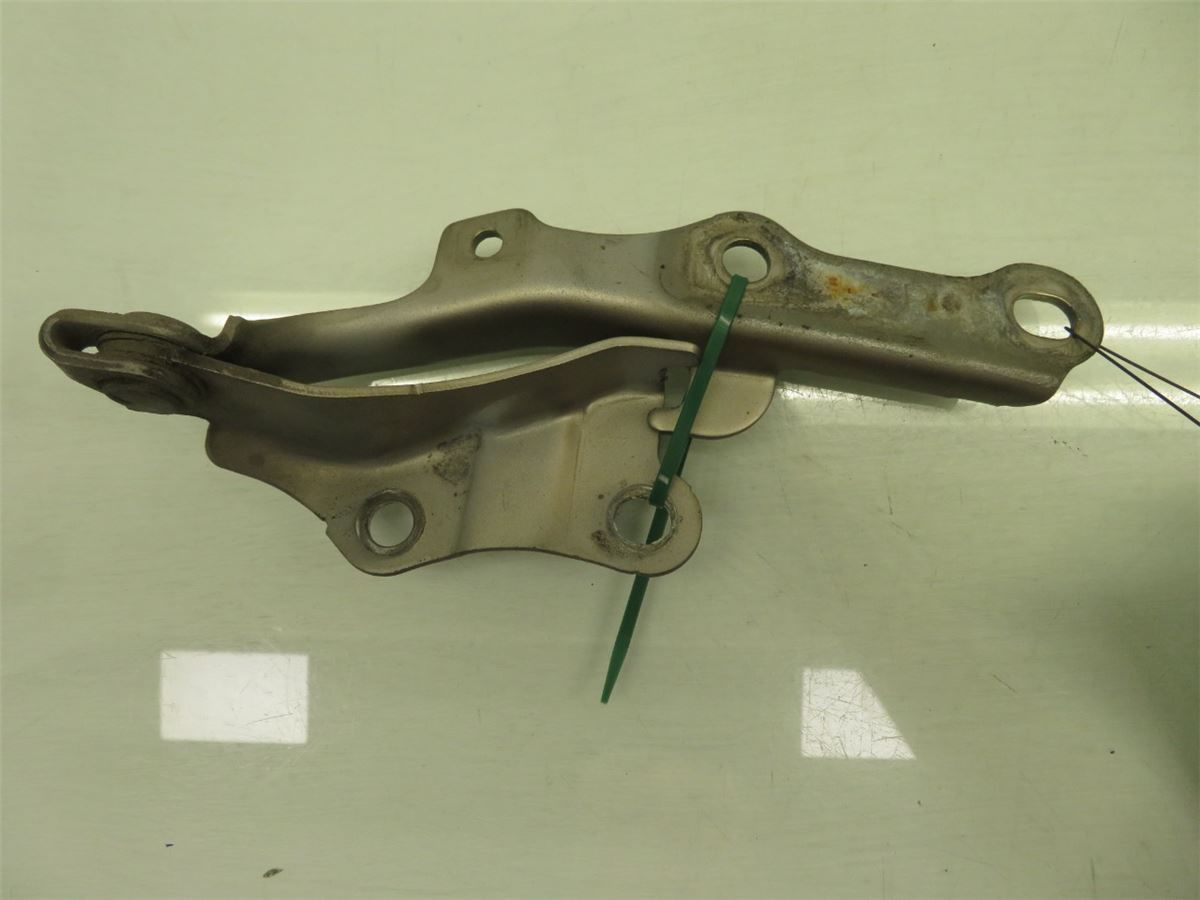Panser Hengsel / Hengsler – bilde 1