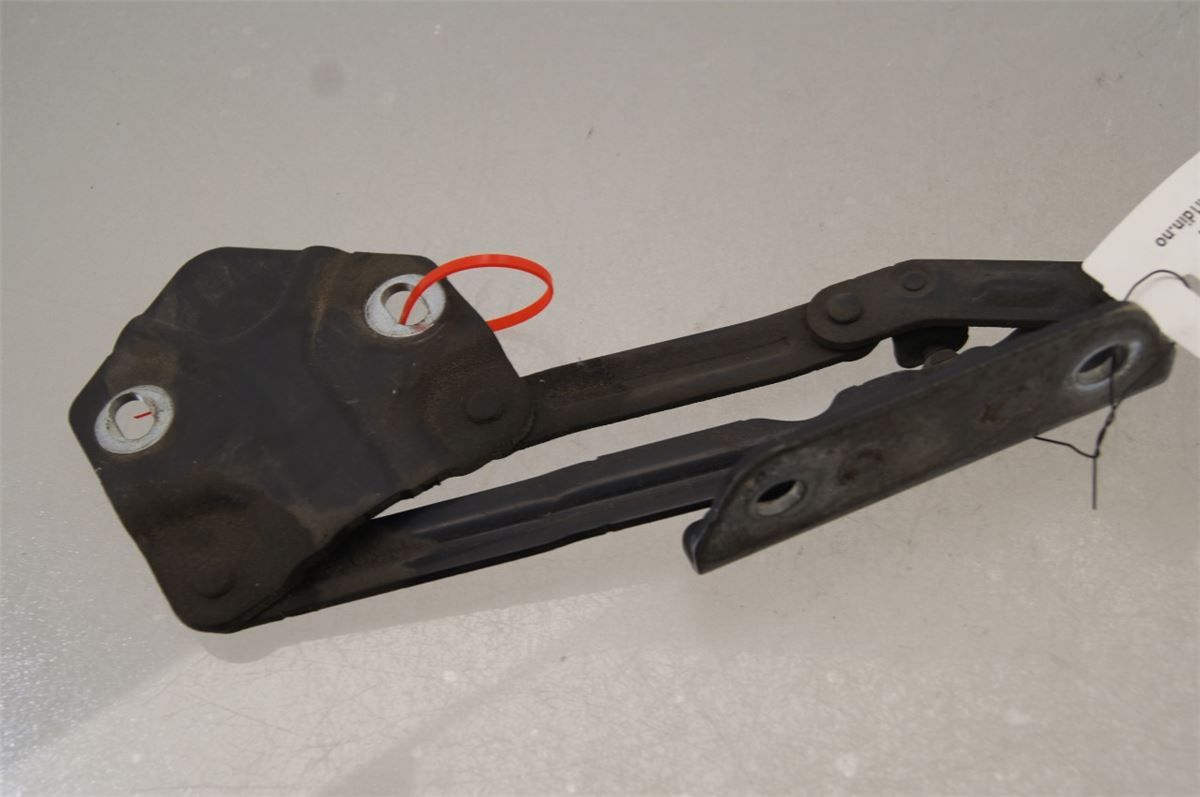 Panser Hengsel / Hengsler – bilde 1
