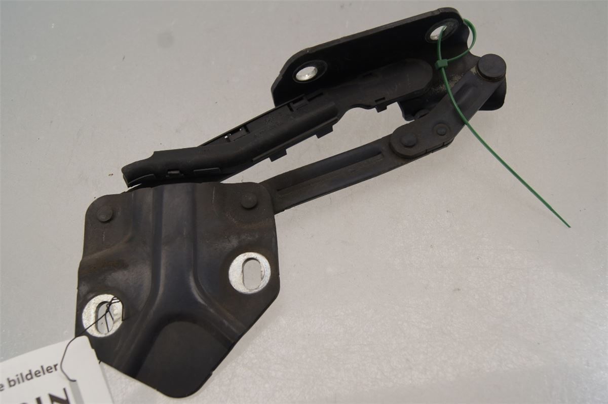 Panser Hengsel / Hengsler – bilde 1