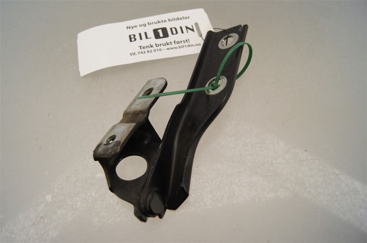 Panser Hengsel / Hengsler – bilde 1
