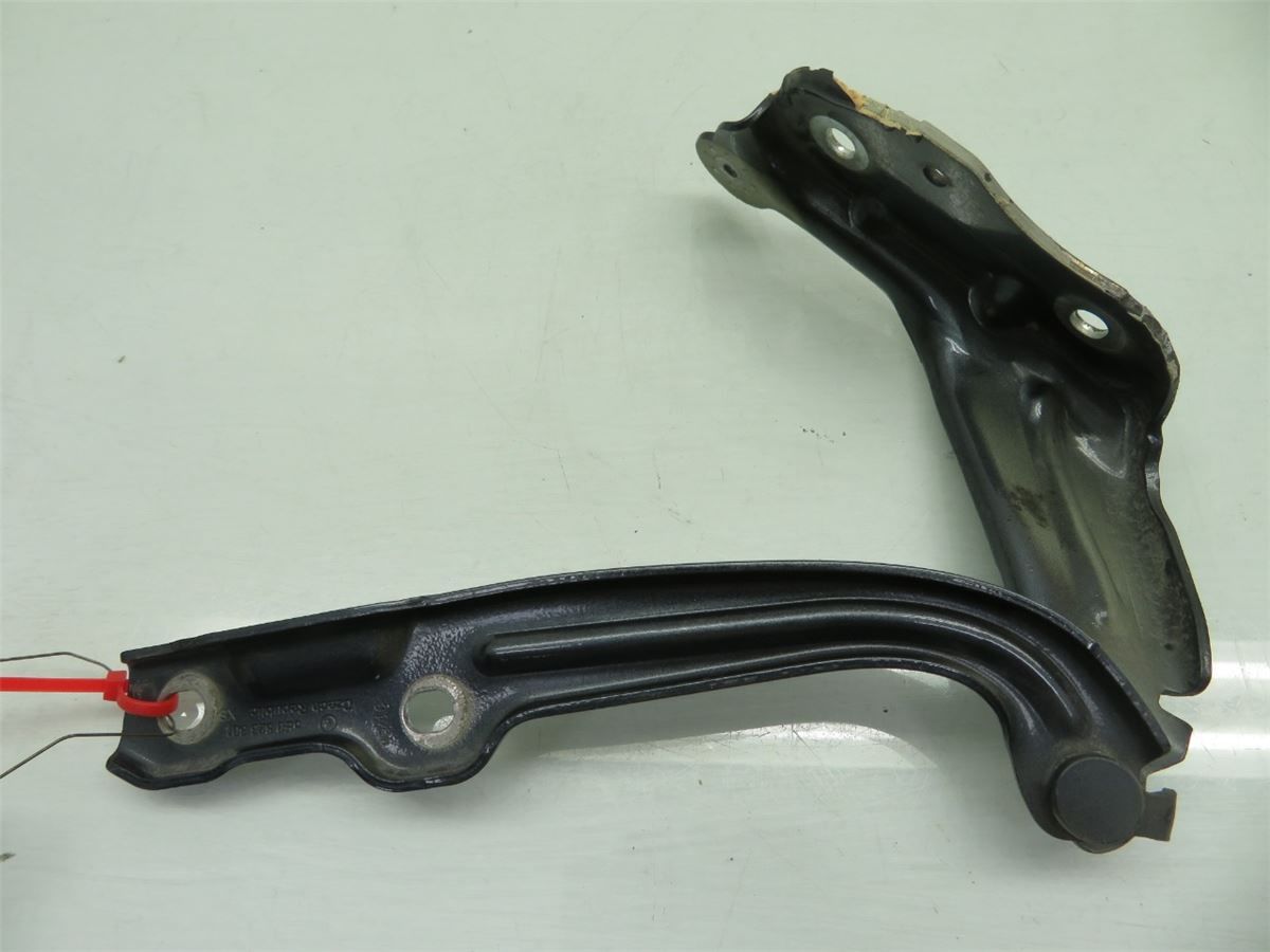 Panser Hengsel / Hengsler – bilde 2