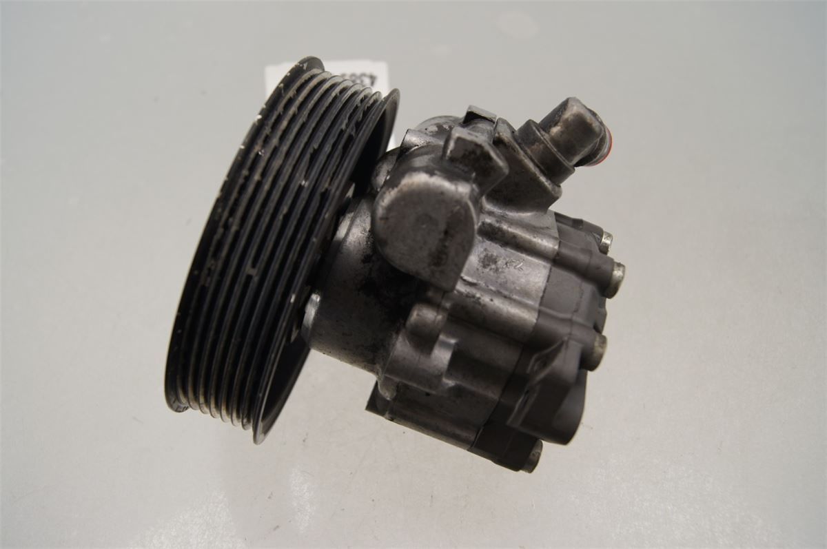 Servo Pumpe – bilde 1