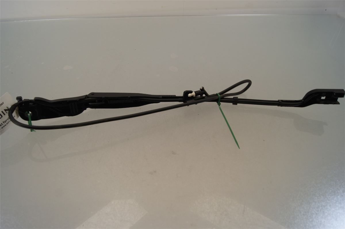 Viskerarm / Armer Frontrute – bilde 2