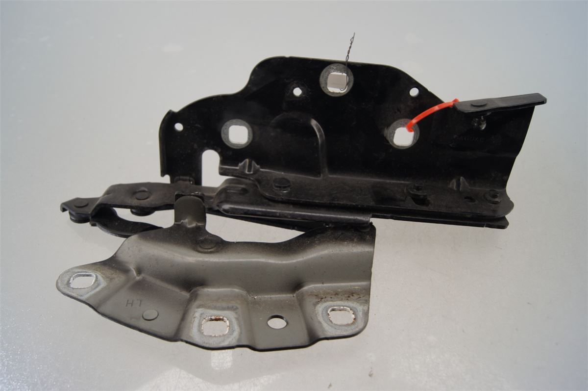 Panser Hengsel / Hengsler – bilde 1