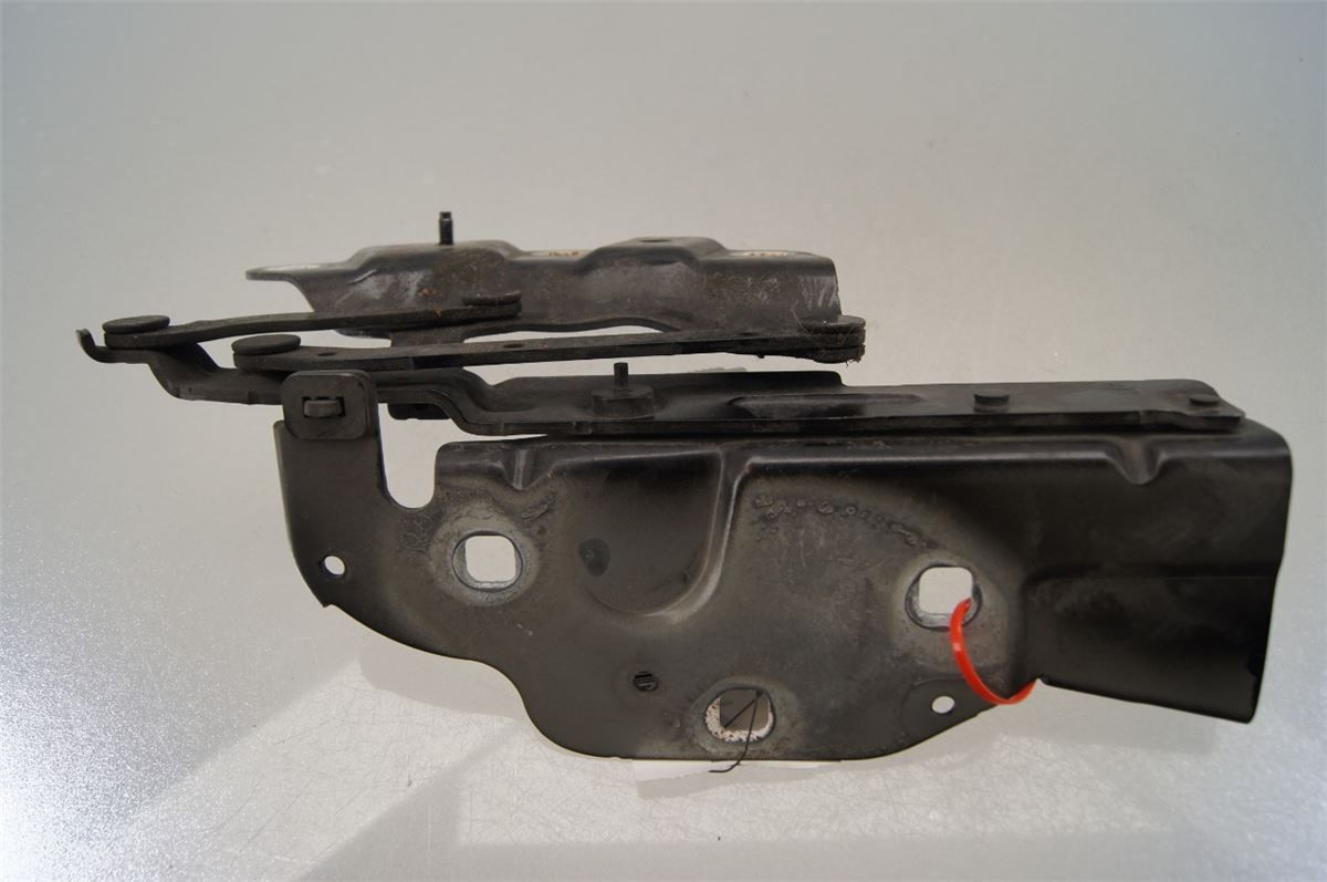 Panser Hengsel / Hengsler – bilde 2