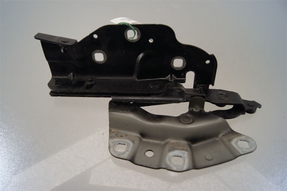 Panser Hengsel / Hengsler – bilde 1