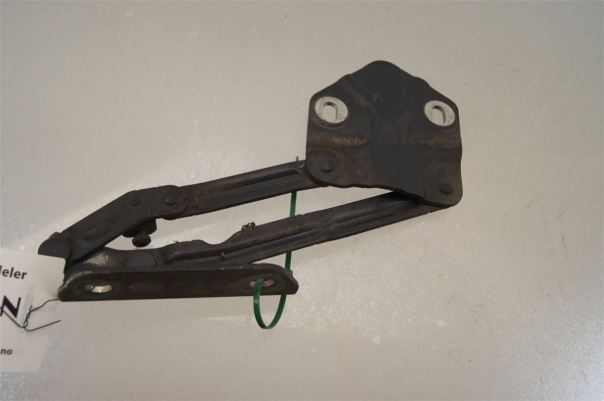 Panser Hengsel / Hengsler – bilde 1