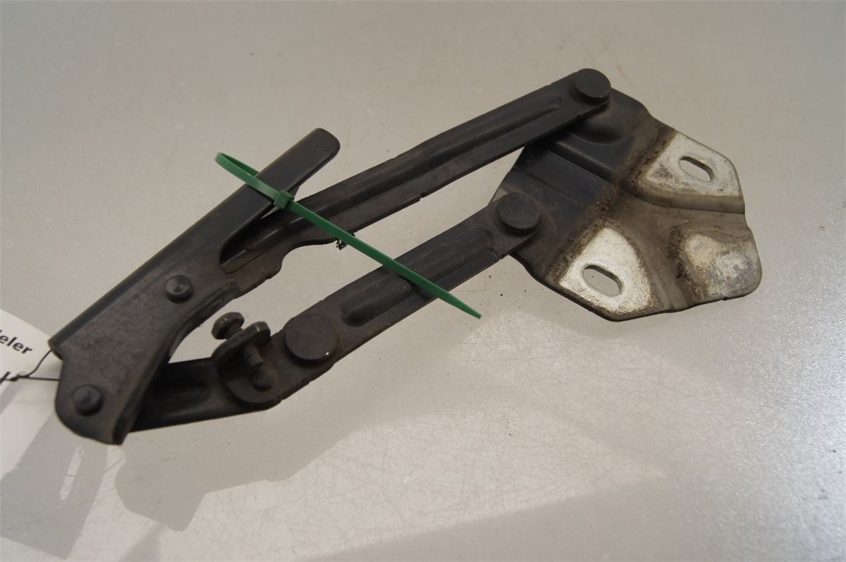 Panser Hengsel / Hengsler – bilde 2