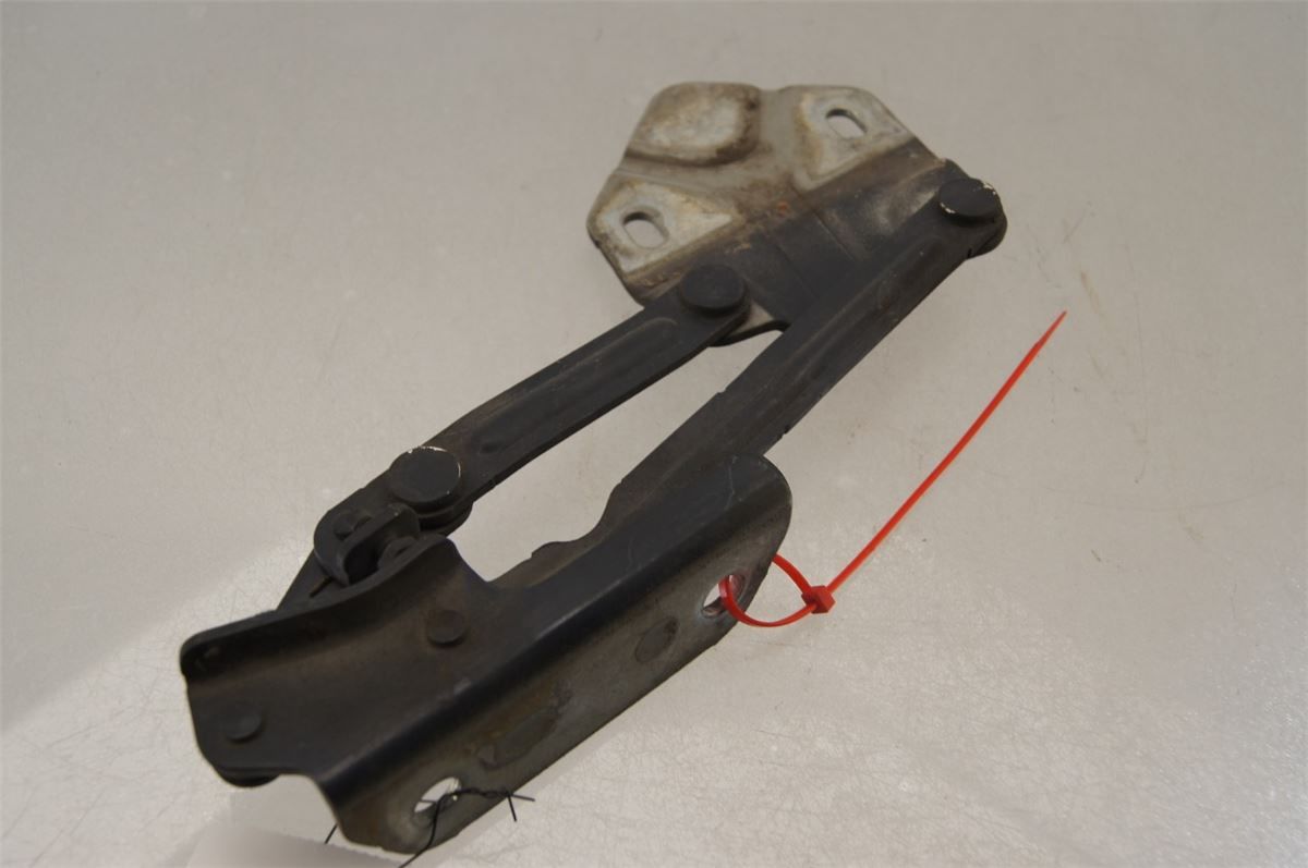 Panser Hengsel / Hengsler – bilde 2