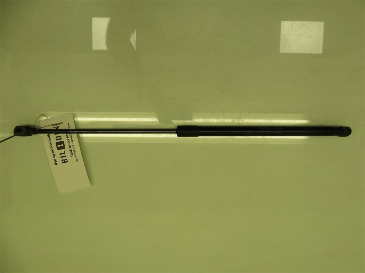 Bakluke Demper / Gassfjær – bilde 1
