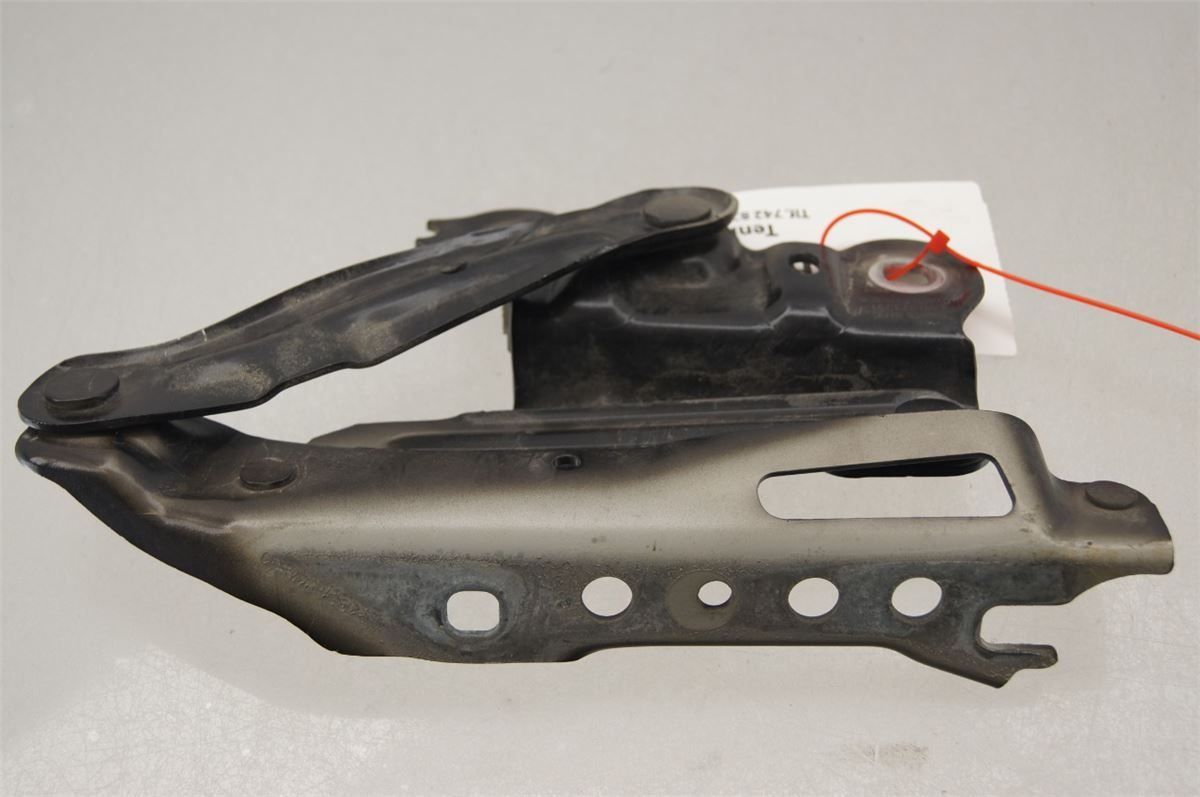 Panser Hengsel / Hengsler – bilde 1