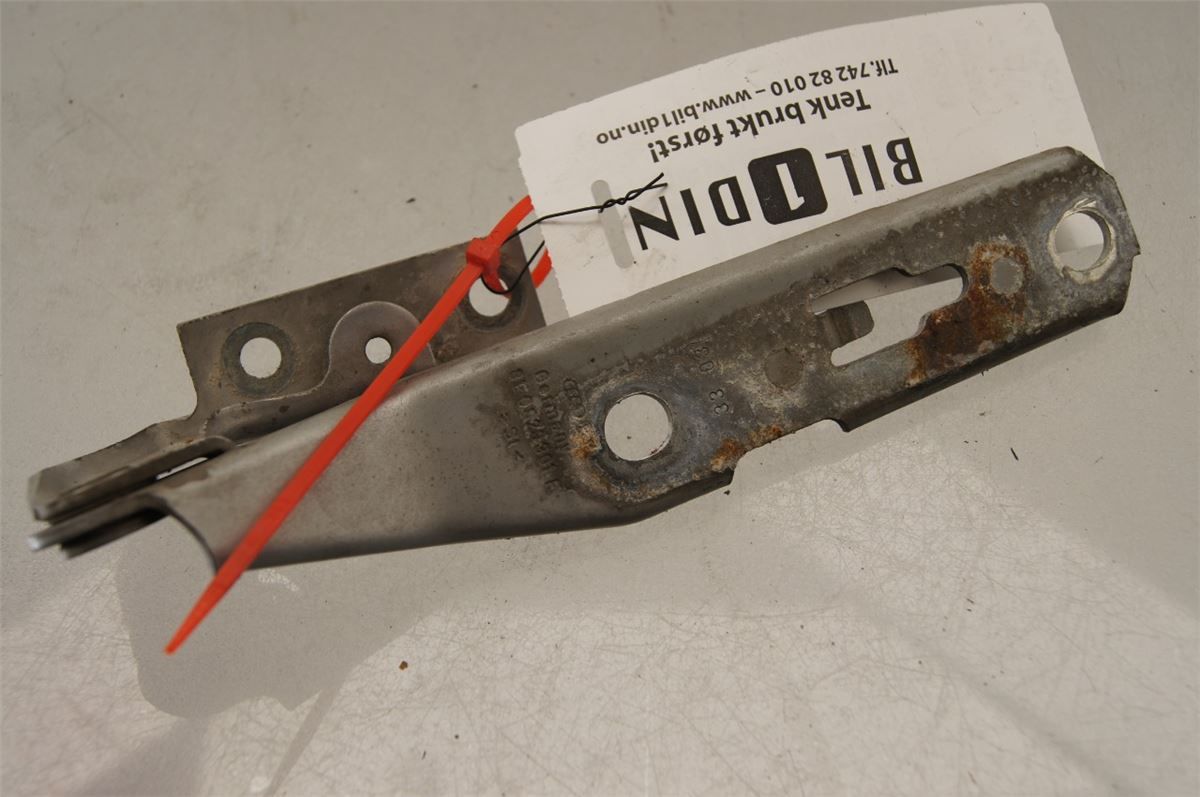 Panser Hengsel / Hengsler – bilde 2