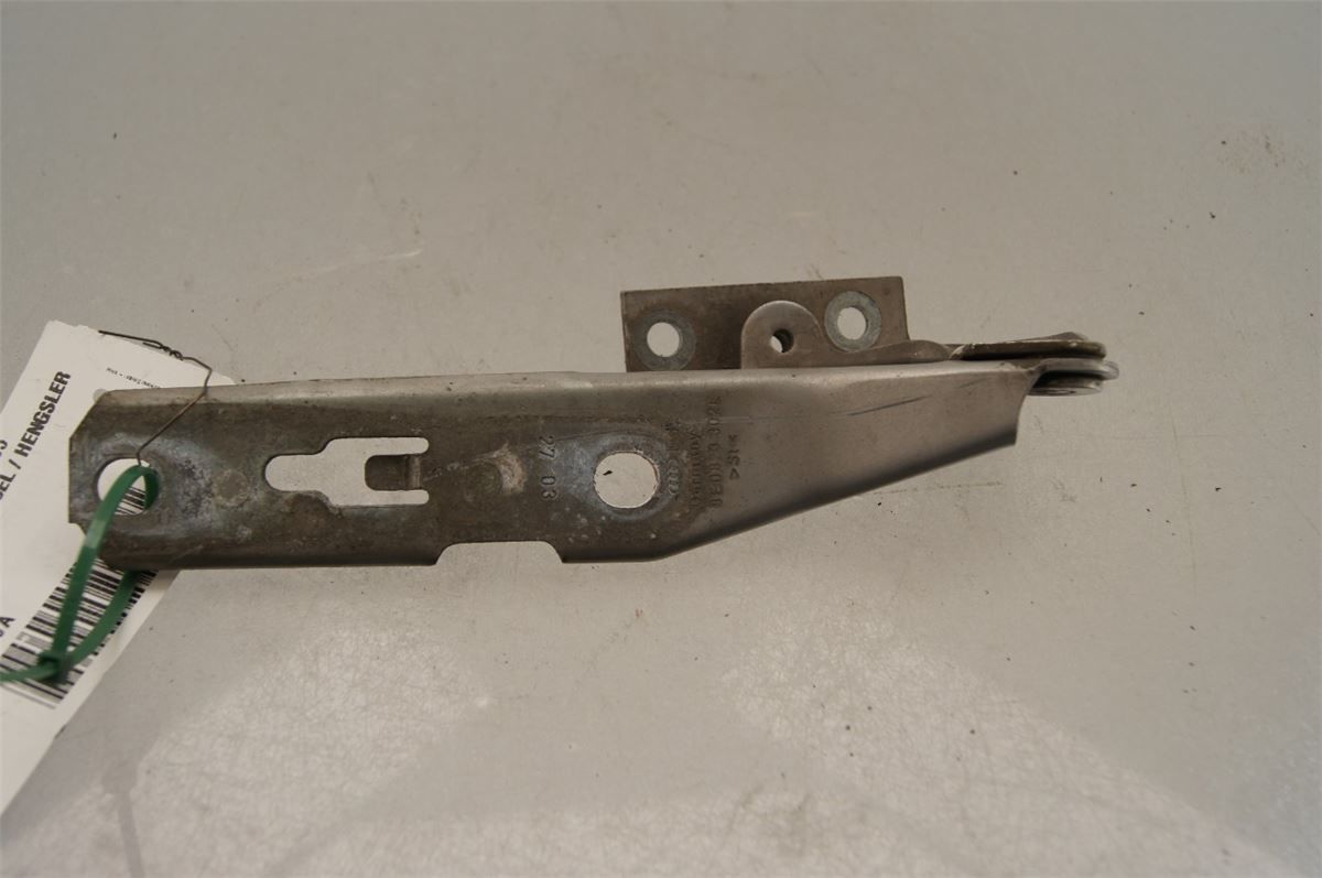 Panser Hengsel / Hengsler – bilde 2