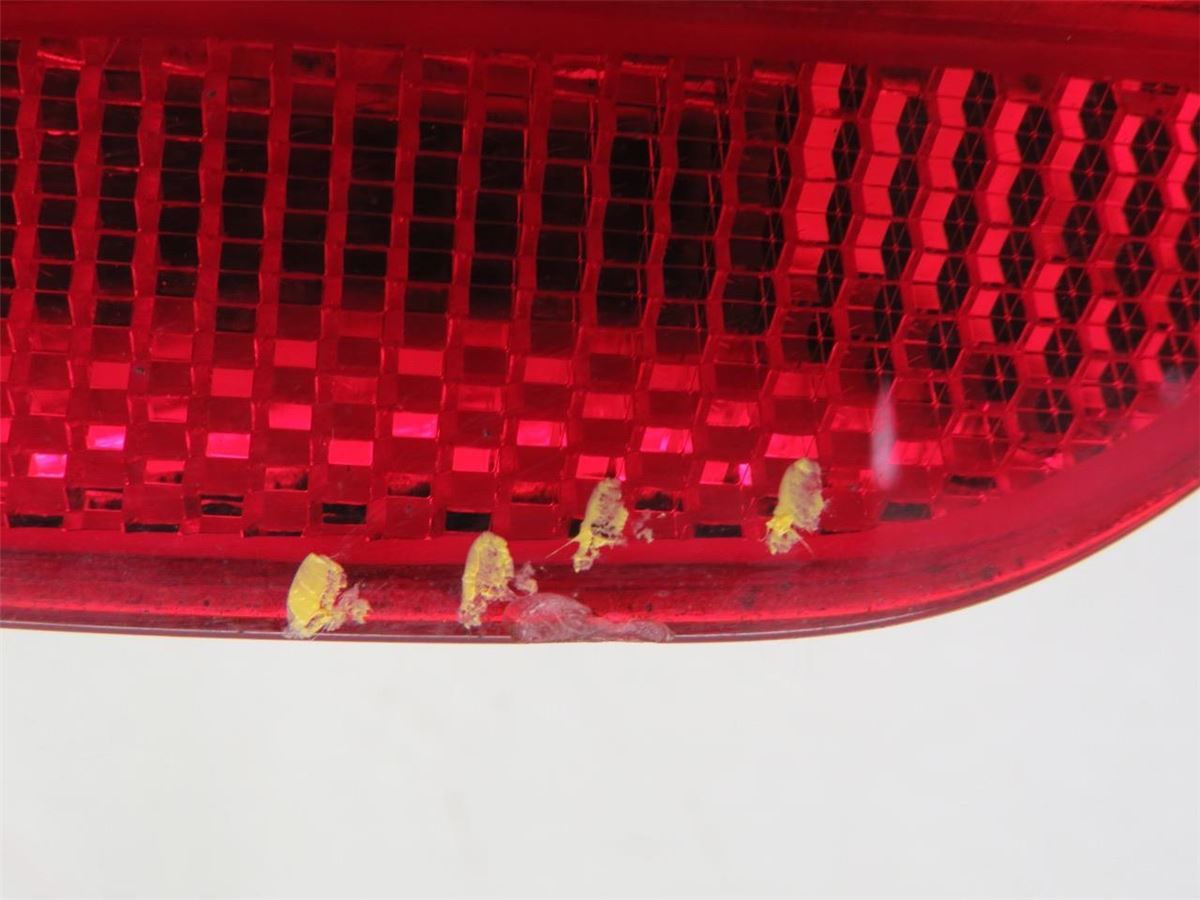 Refleks Bak – bilde 1