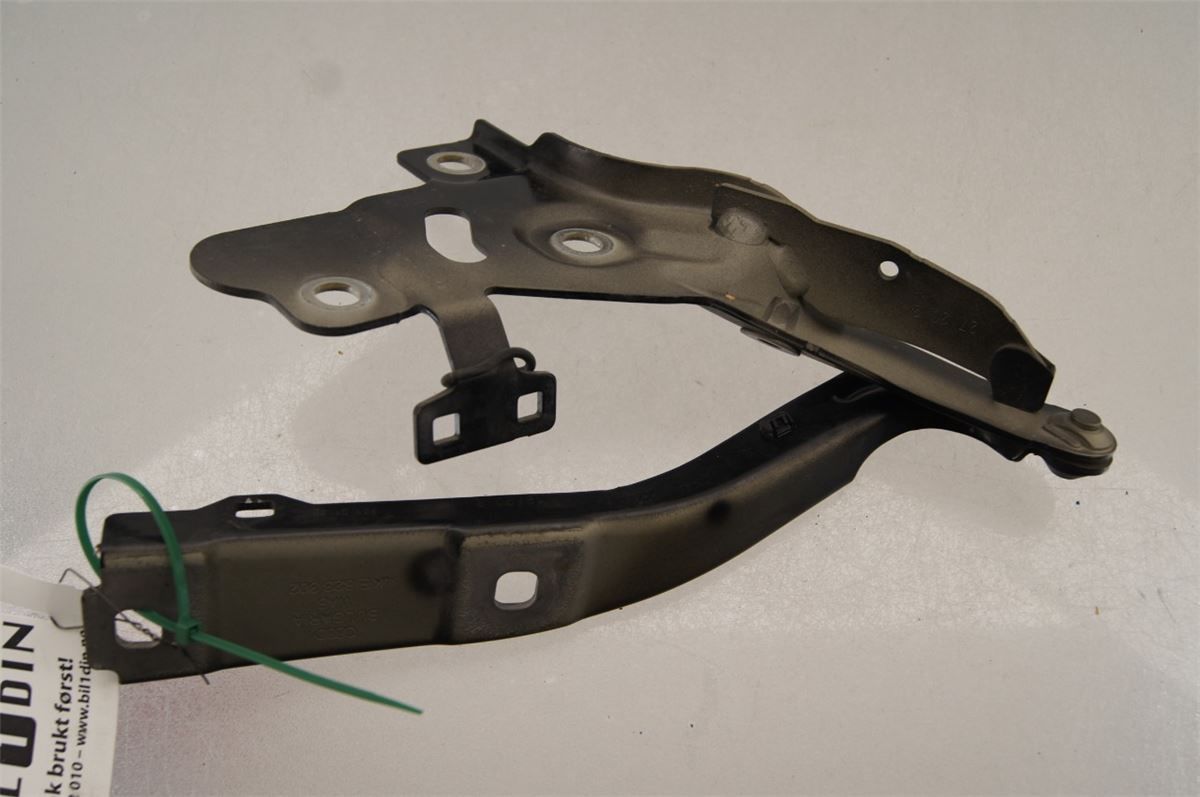 Panser Hengsel / Hengsler – bilde 2