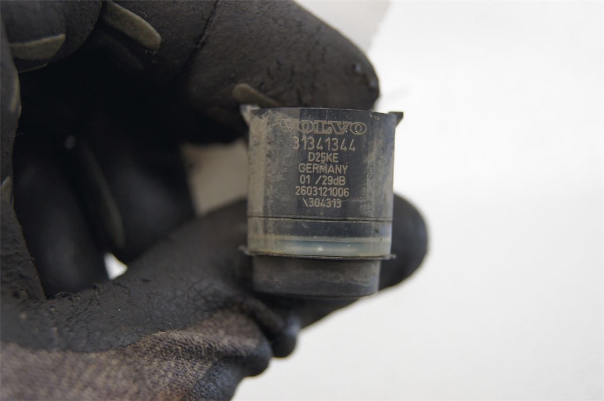 Sensor Ryggesensor – bilde 2