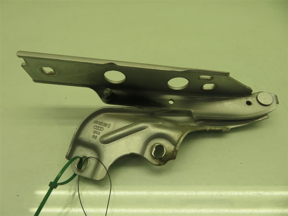 Panser Hengsel / Hengsler – bilde 1