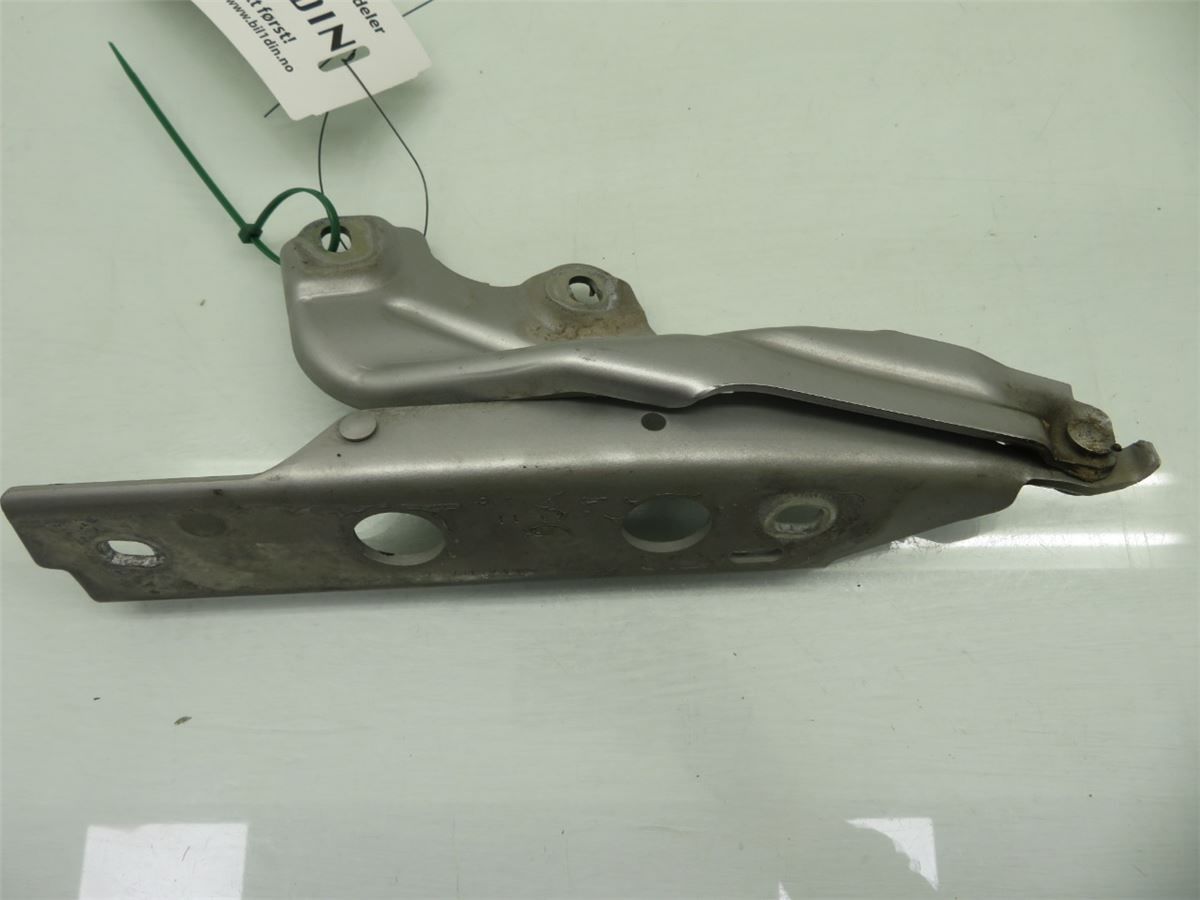 Panser Hengsel / Hengsler – bilde 2