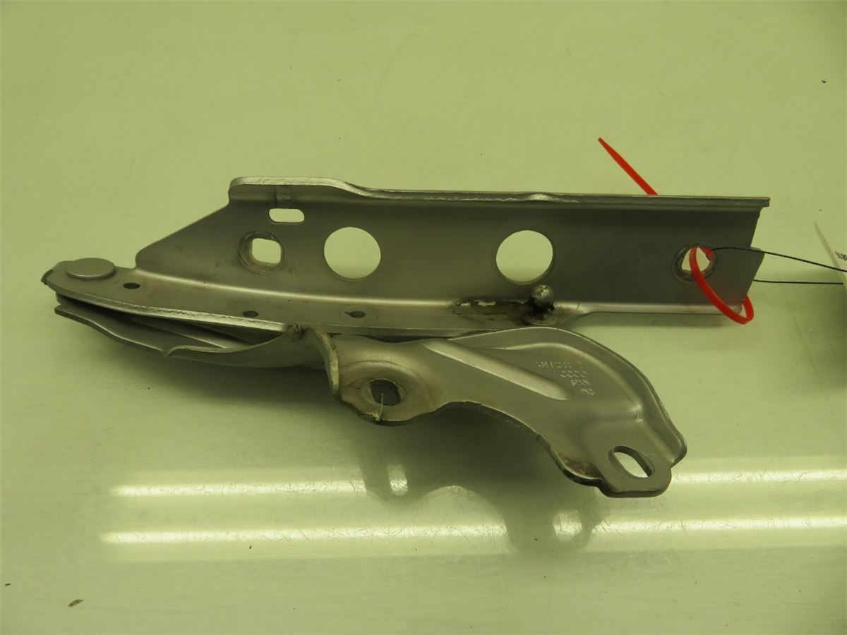 Panser Hengsel / Hengsler – bilde 2